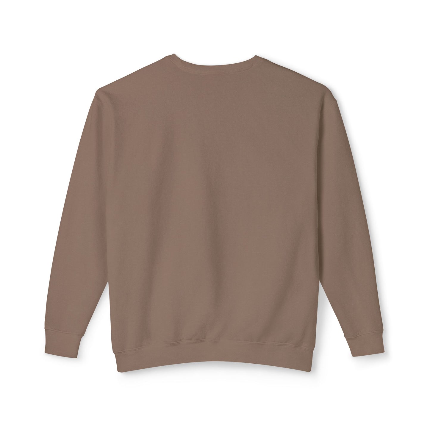 Read More Books Sweatshirt – Cozy Book Lover Crewneck on Comfort Colors