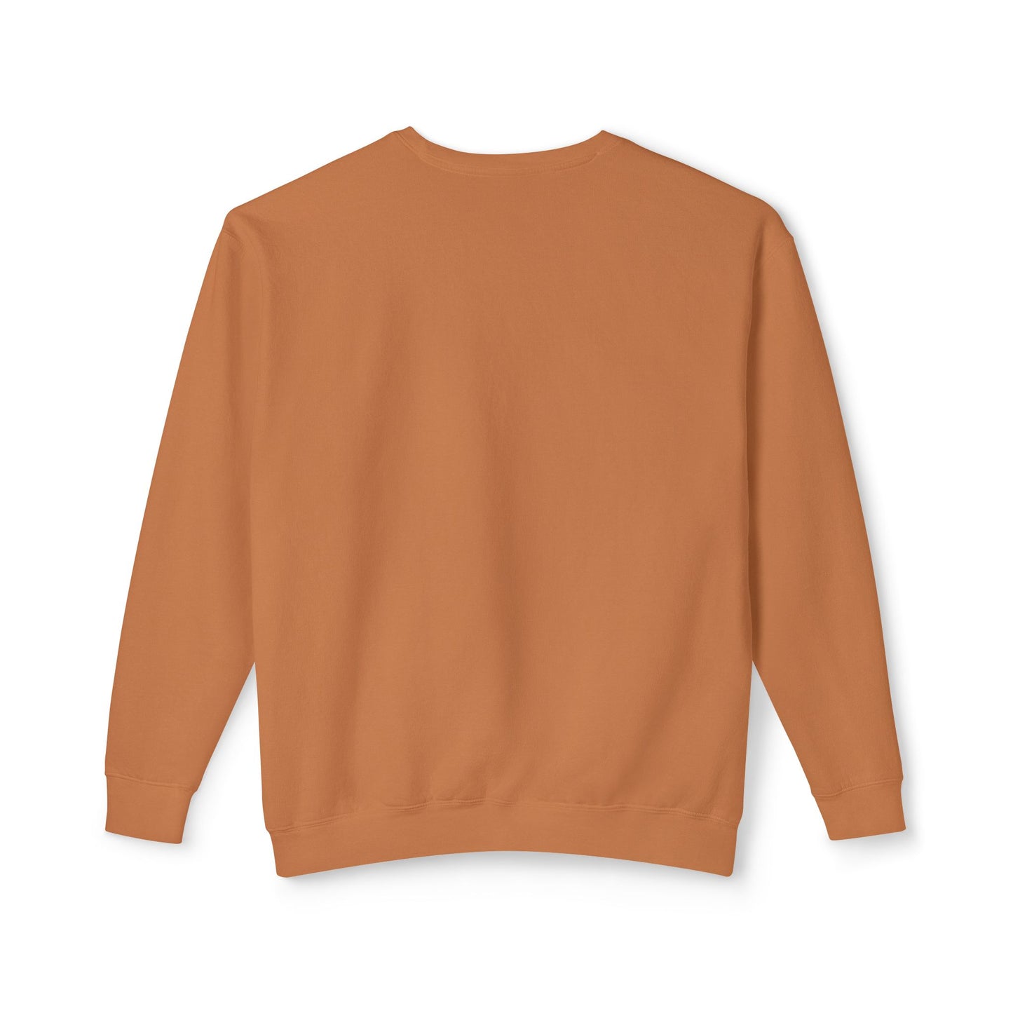 Read More Books Sweatshirt – Cozy Book Lover Crewneck on Comfort Colors