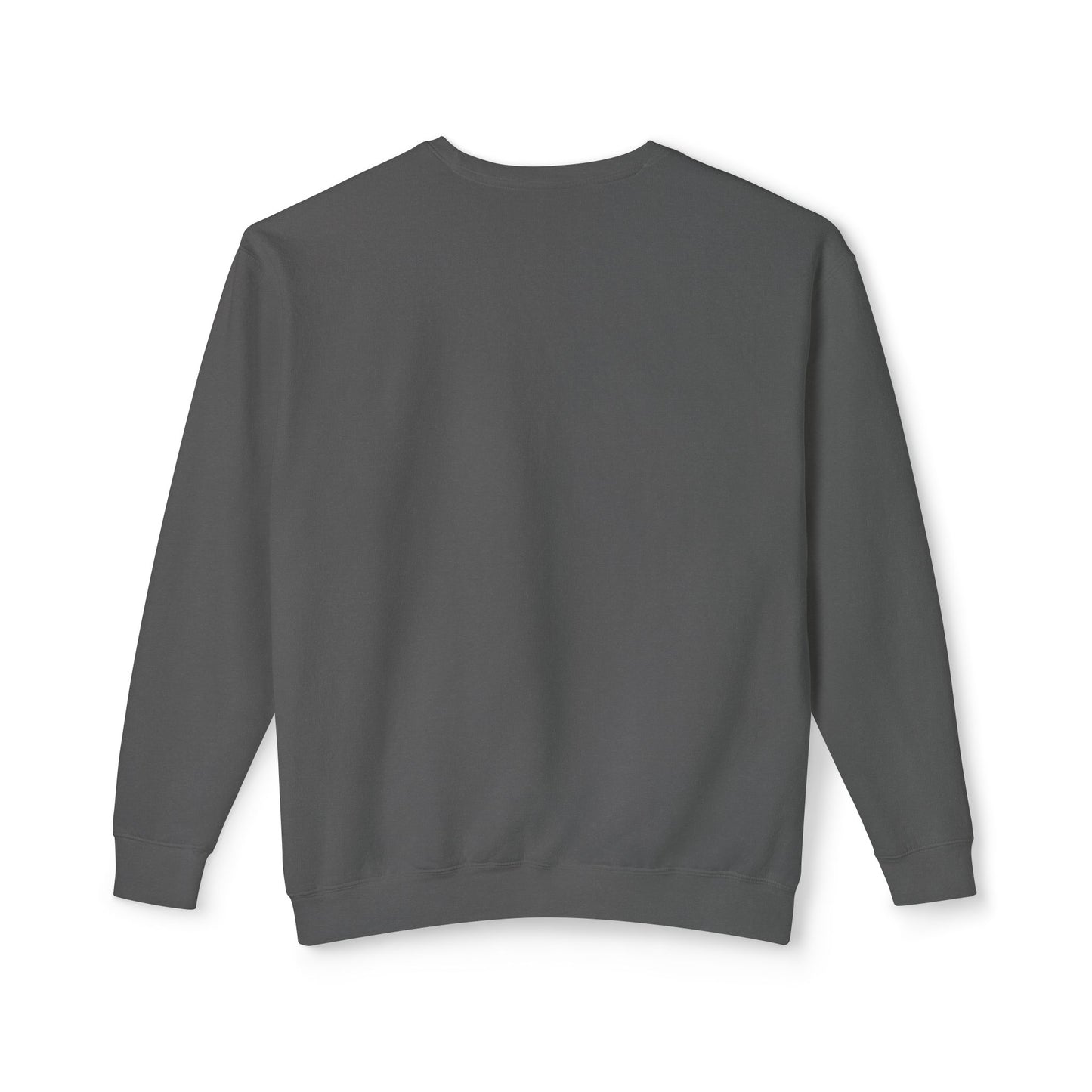 Read More Books Sweatshirt – Cozy Book Lover Crewneck on Comfort Colors